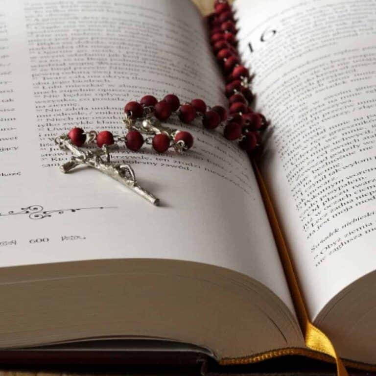 bible with red rosary resting over top