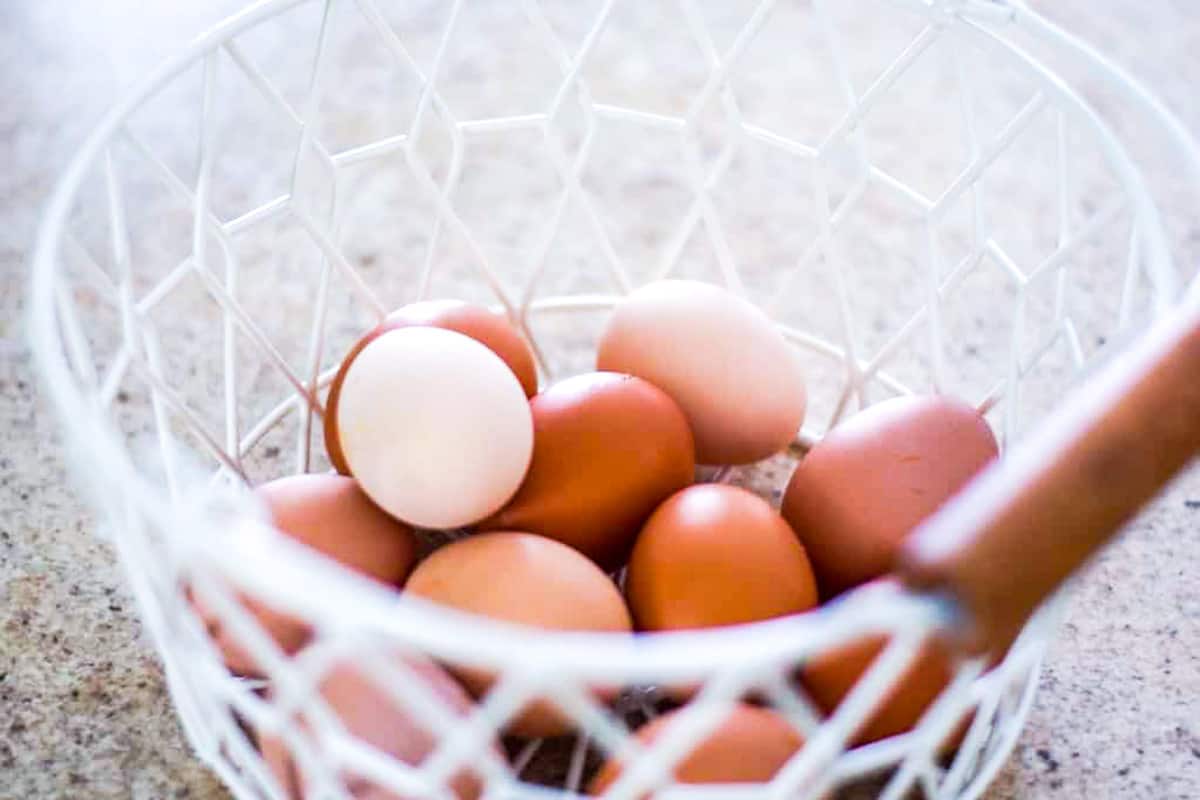 white wire basket of farm fresh eggs