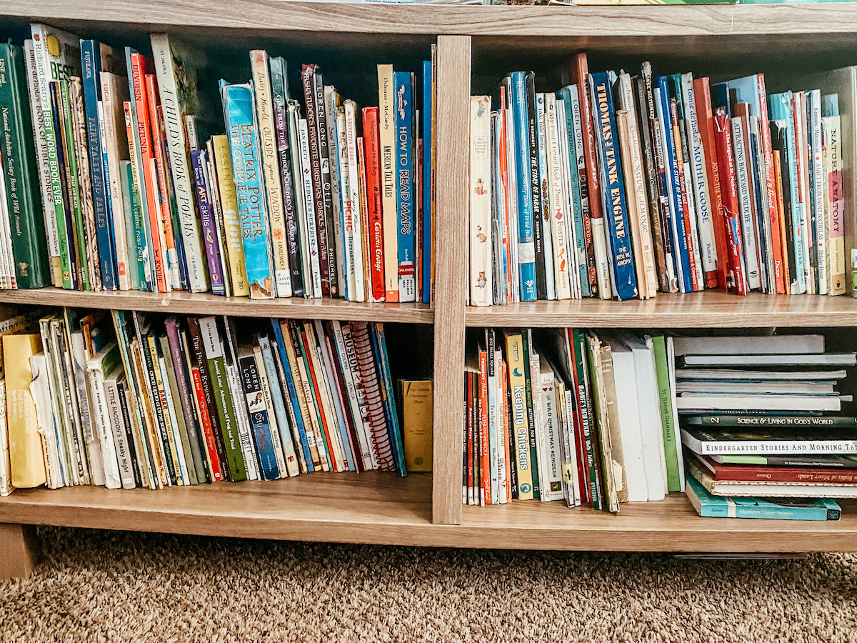 children’s picture books arranged on a bookshelf. 