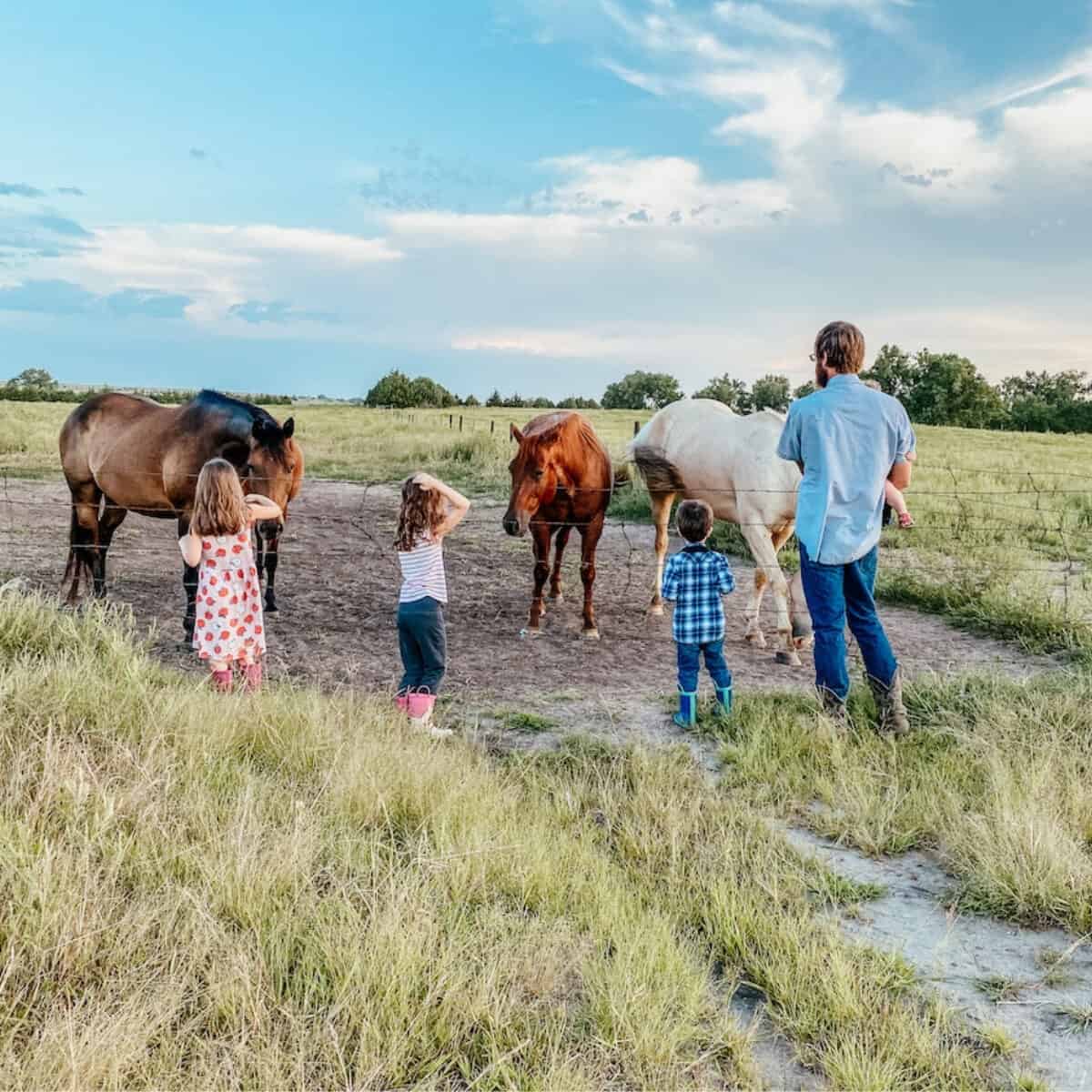 family visiting the horses in the pasture