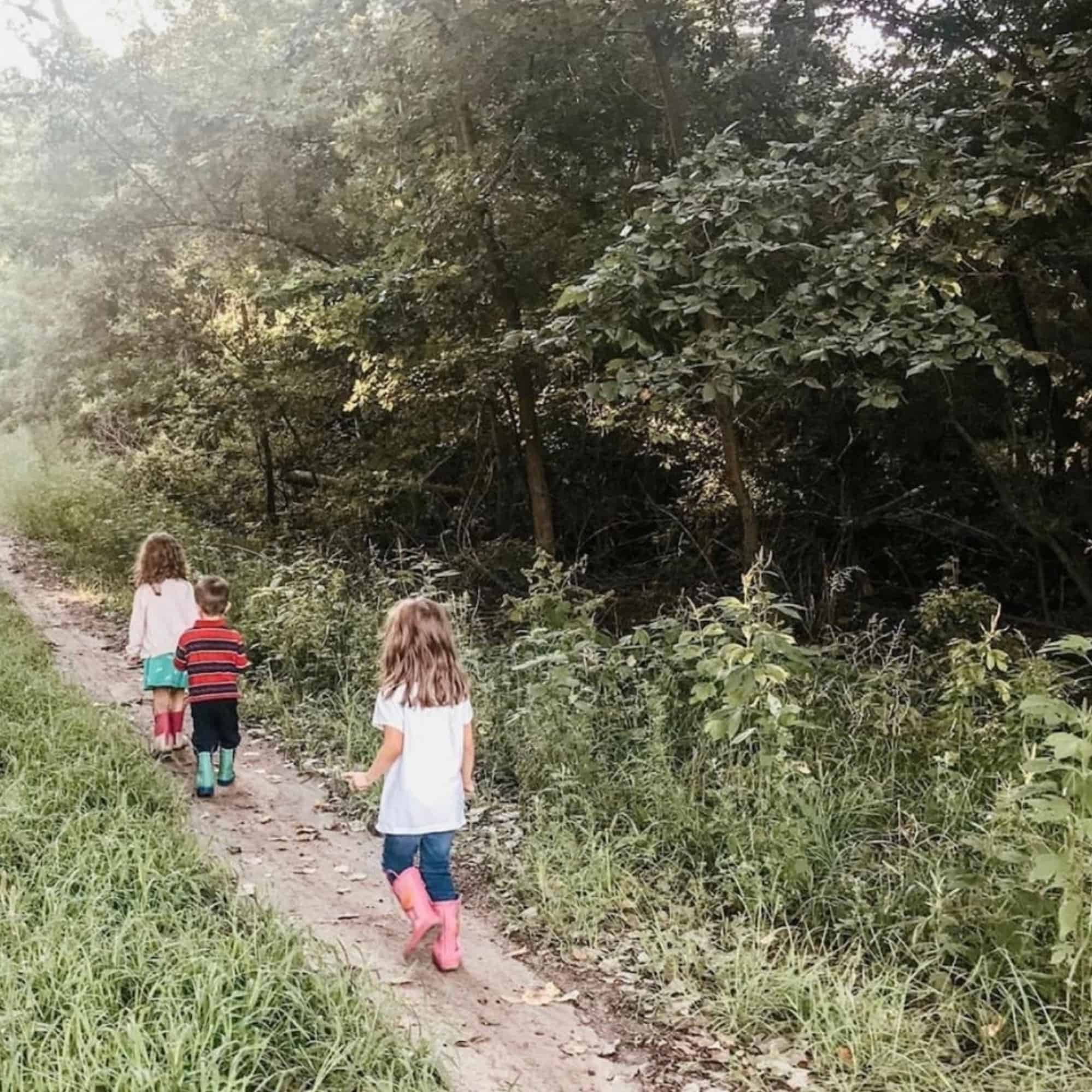 children walking on a nature path