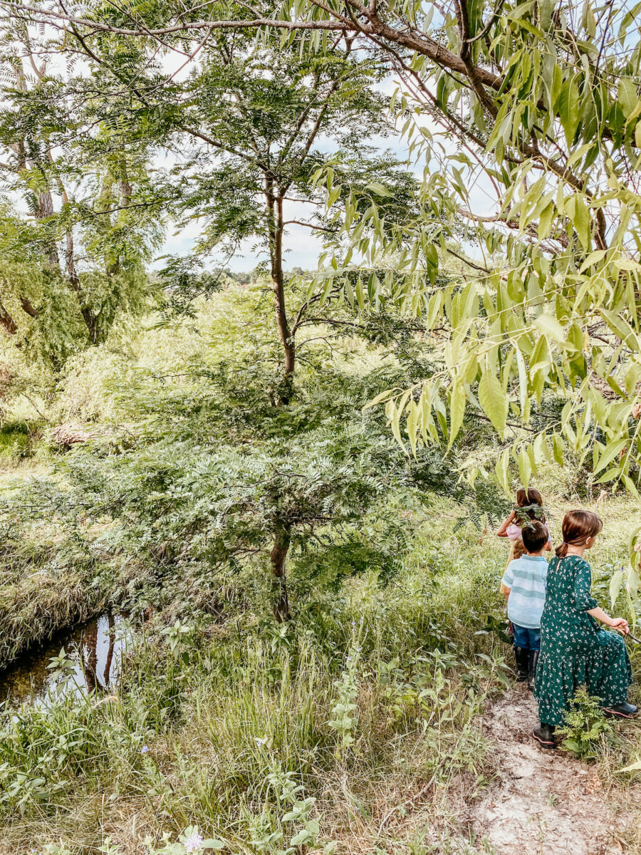 children walking on a nature trail by the creek. 