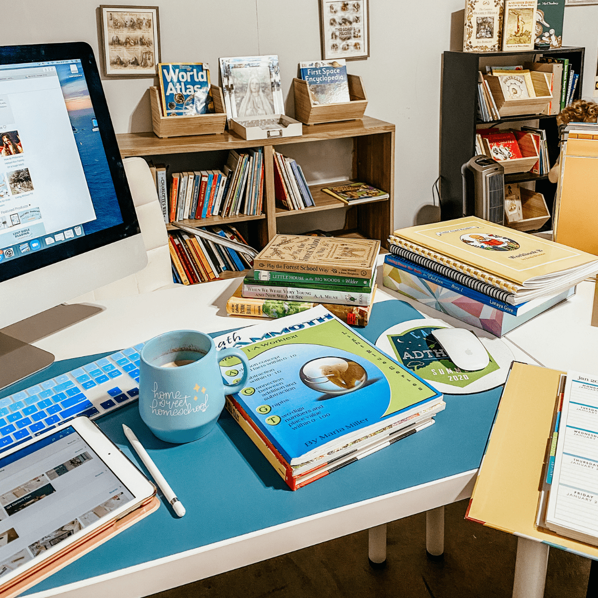 homeschool lesson planning on a desk with a variety of books