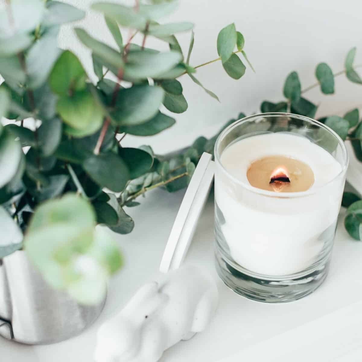 white candle in glass with eucalyptus leaves in background 