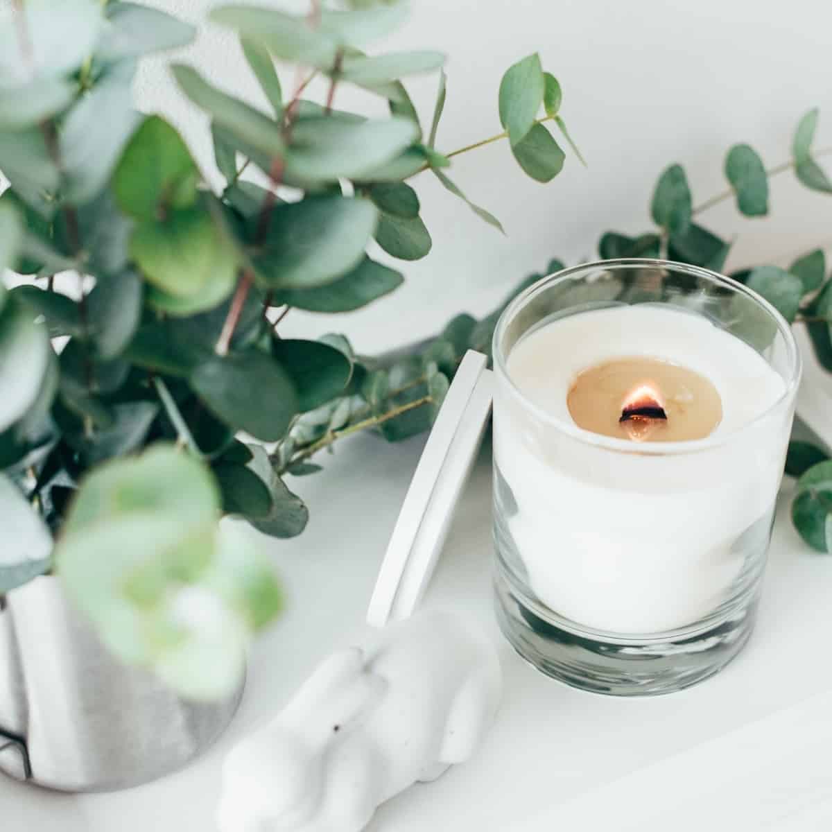 white candle in glass with eucalyptus leaves in background