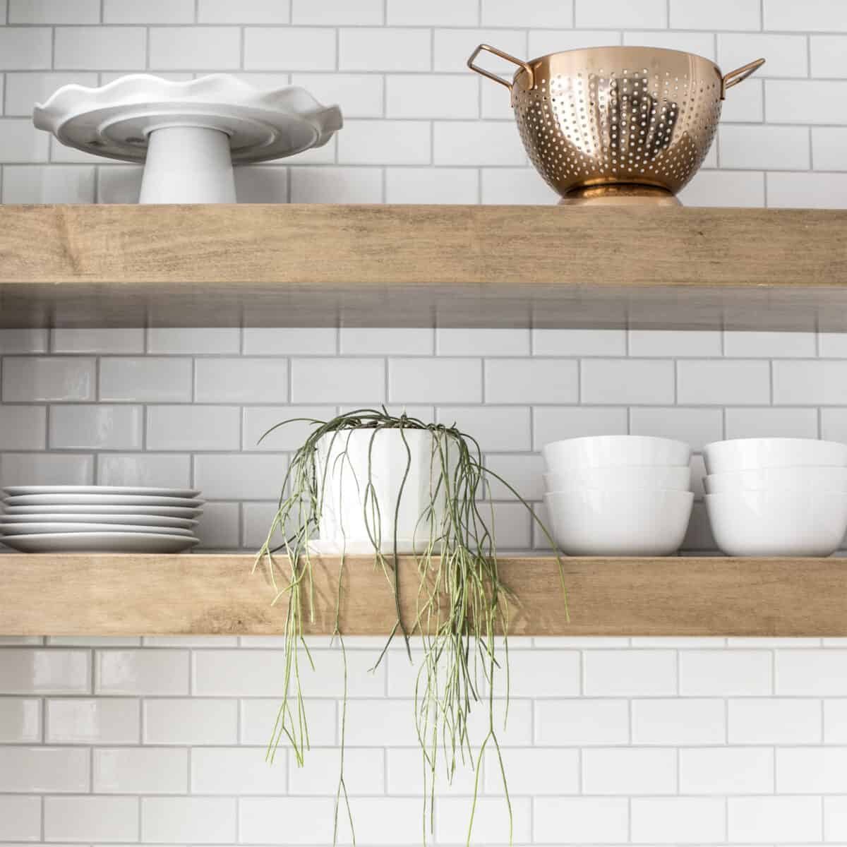 house plant on kitchen shelf with dishes.