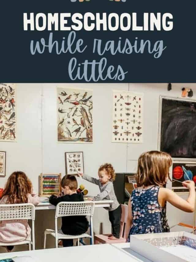 Raising Littles While Homeschooling