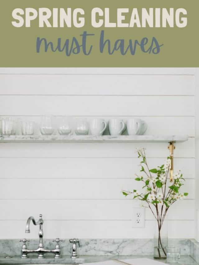 Spring Cleaning Must Haves