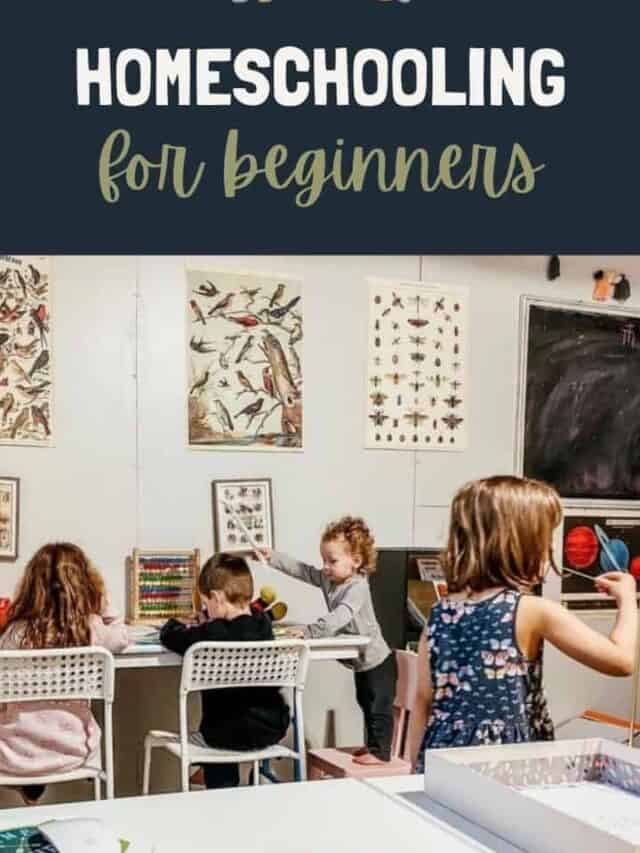 Homeschooling for Beginners