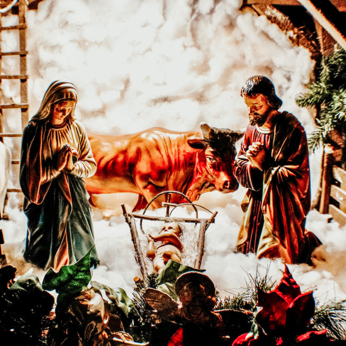 Twelve Days of Christmas in the Catholic Home