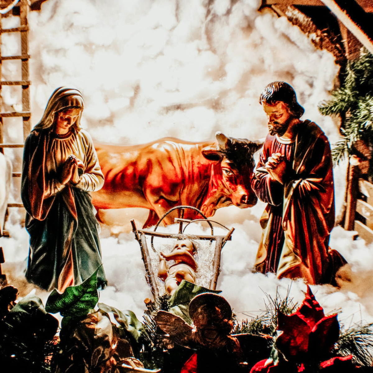 close up of the nativity scene set up in the church