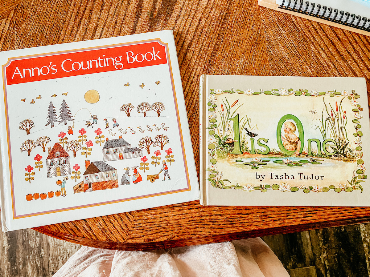 two counting picture books on the table. 