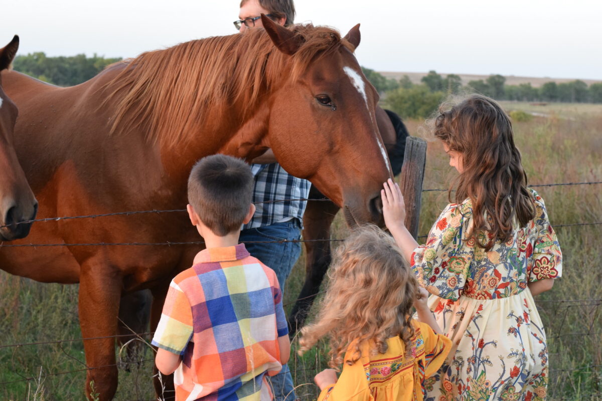 children with a horse in the pasture.