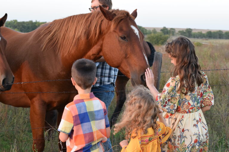 children with a horse in the pasture.