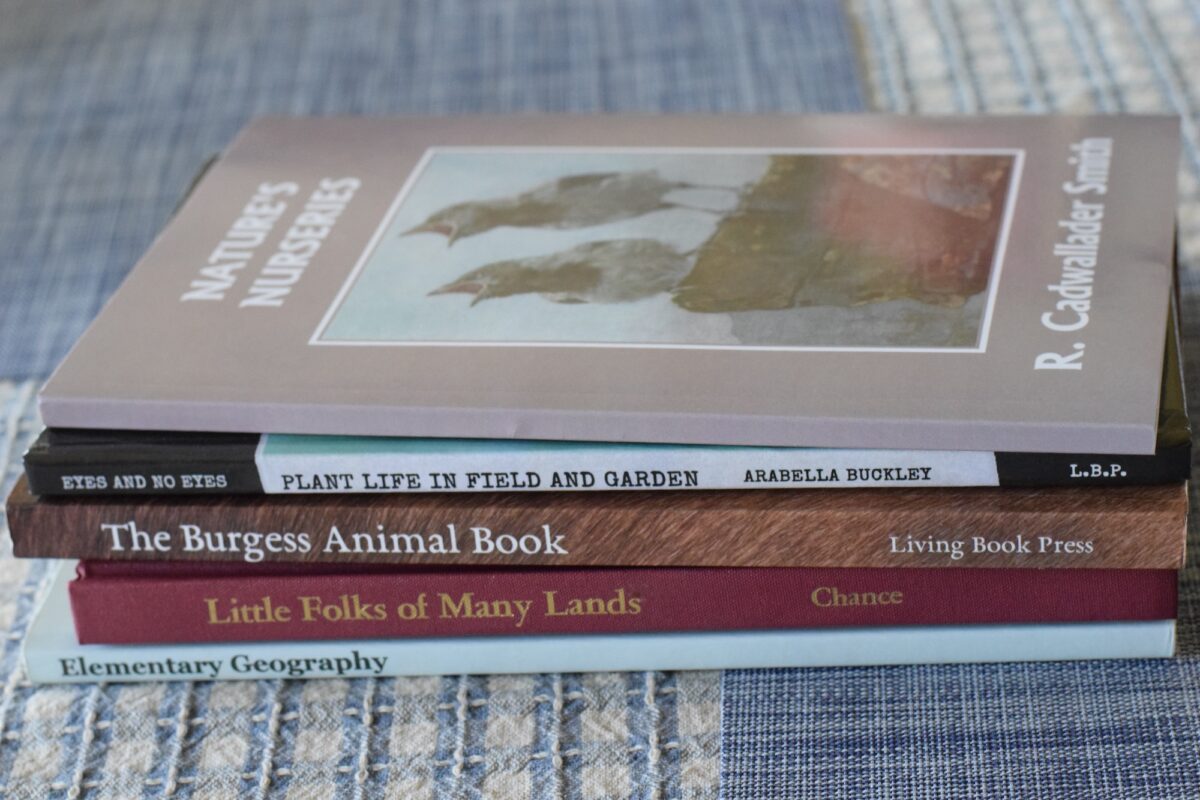year 1 geography and natural history books on a table. 