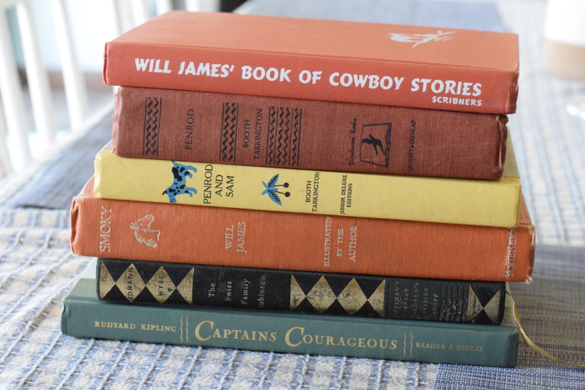 stack of adventure books for the year 4 student on a table. 