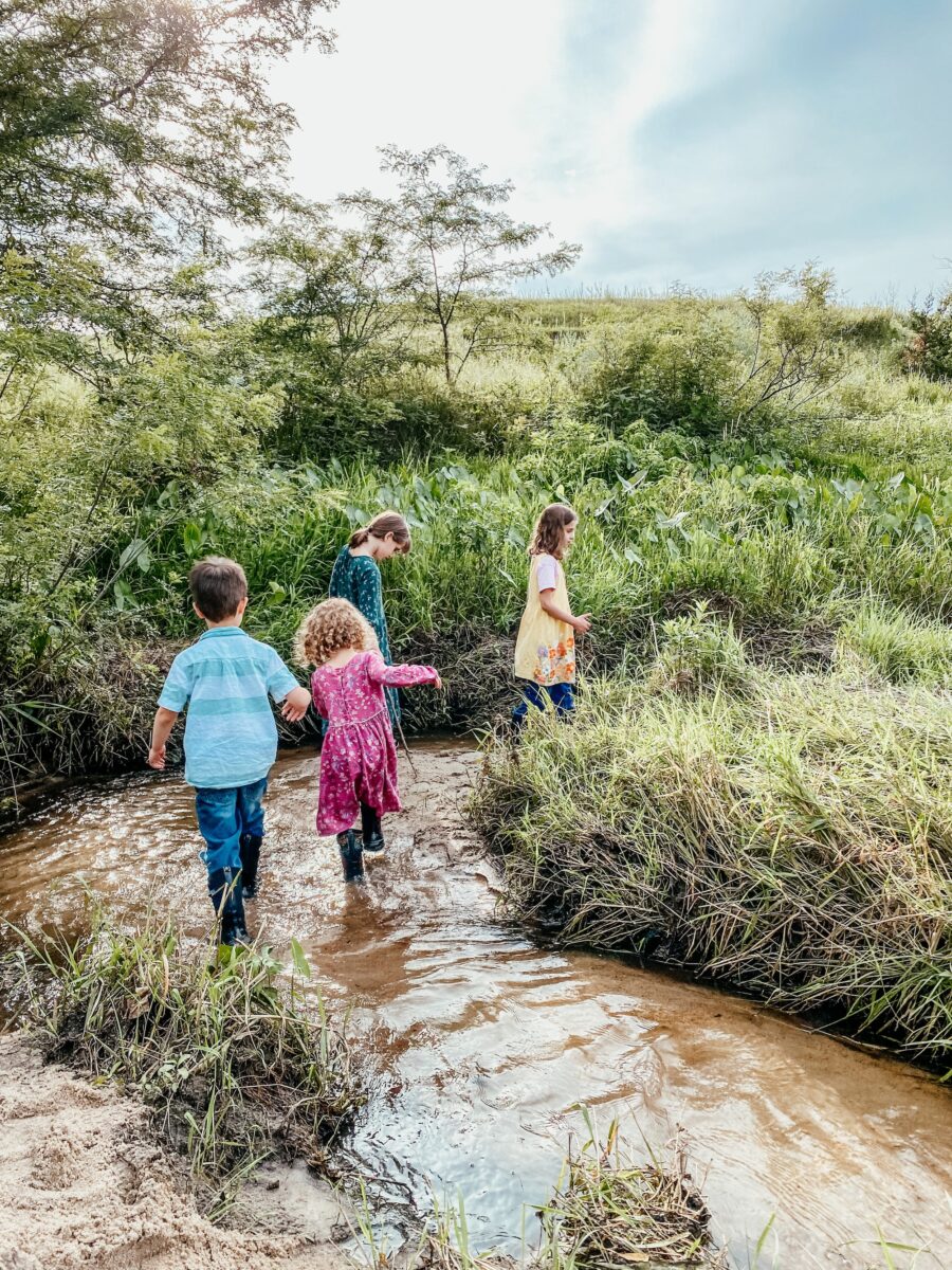 four young children walking through a shallow part of a creek.
