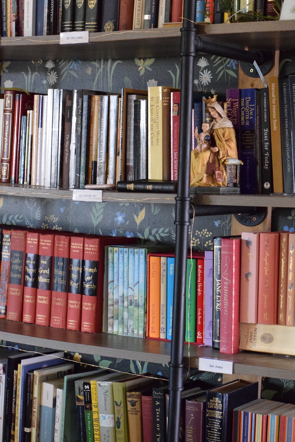 novels and other vintage books on a bookshelf in the home library.