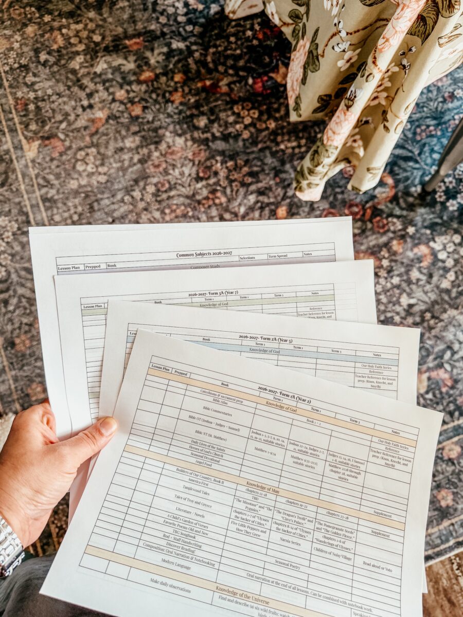 pre-reading checklist for my year planning with the cmec.